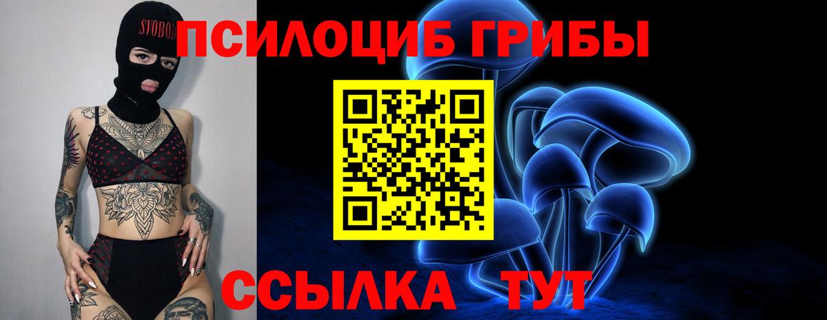 Галлюциногенные грибы Cubensis  Вход с VPN  Псилоцибиновые грибы Psilocybe  Гулькевичи 